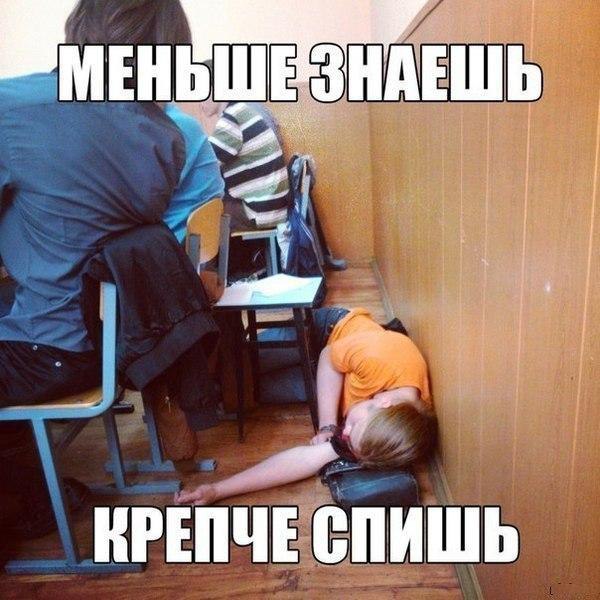 Создать, смешные фото с надписями до слез про школу