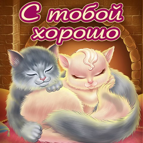 Мой котенок картинки для любимого, открытка