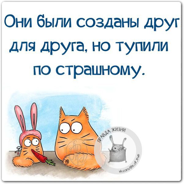 �������� �� ������� ���� ��� �����