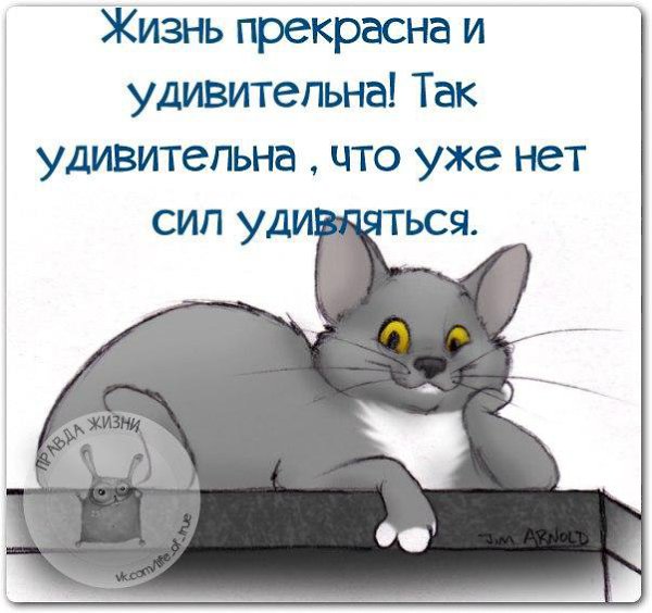 Днем, открытки правда жизни