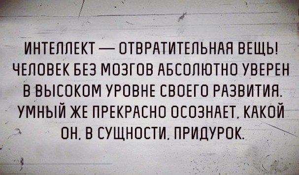 Чем ниже интеллект тем громче оскорбления картинка