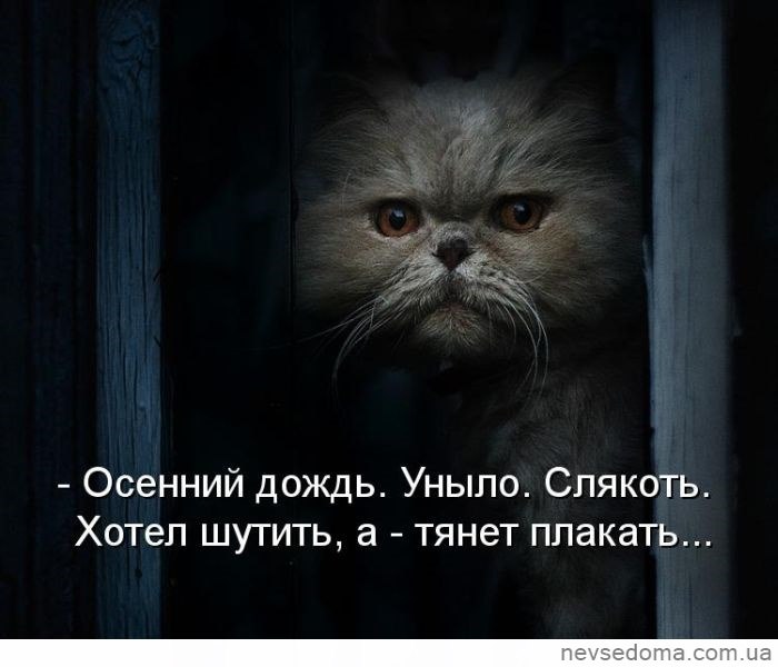 Позабыт позаброшен картинки прикольные
