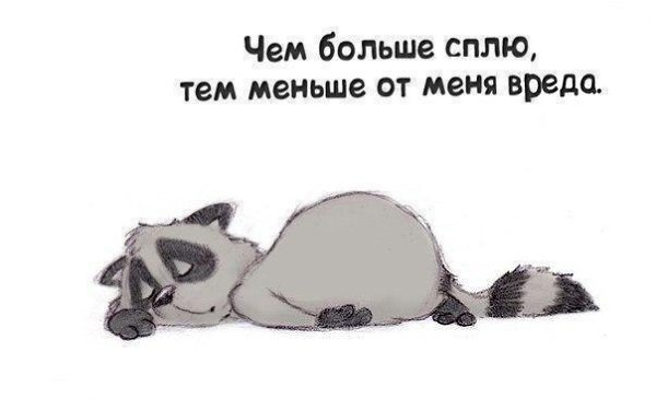 Шаблон открытки, я сплю смешные картинки