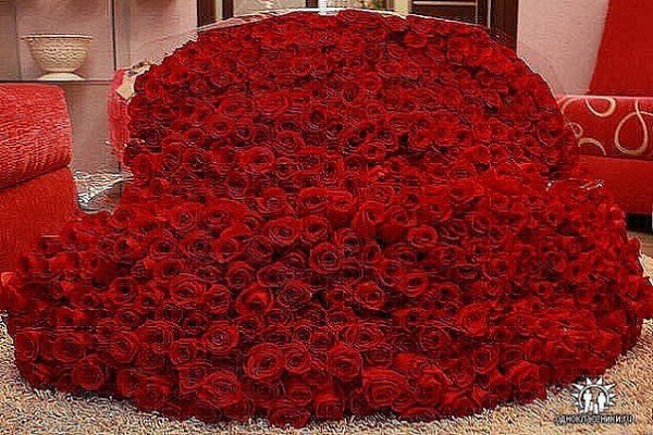Картинки с днем рождения с именем залина