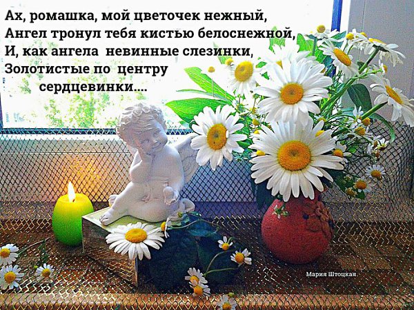 Картинки, ромашки открытки со стихами