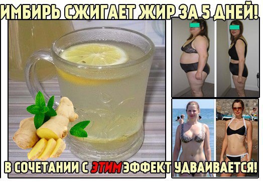 За Сколько Похудеешь С Имбирем.