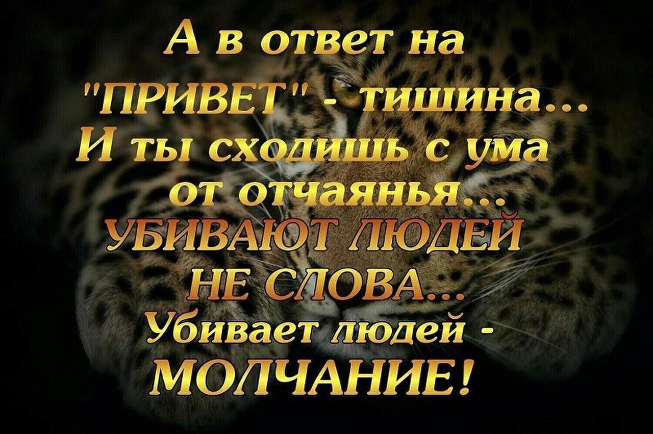 Картинка в ответ тишина