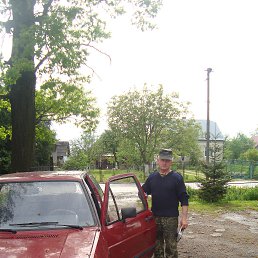 , 66 , 