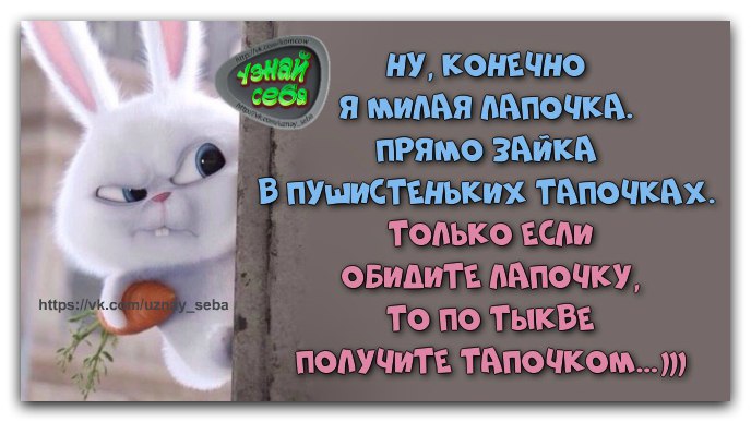 Моя зайка картинки прикольные