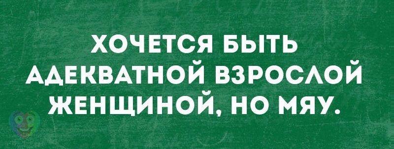 Хочется быть адекватной но мяу. Хочется быть взрослой адекватной. Хочется быть адекватной взрослой женщиной но. Хочется быть взрослой женщиной но мяу.