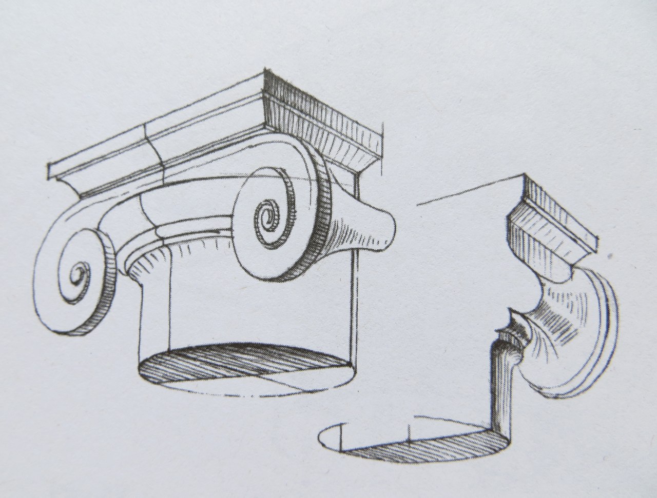 Ионическая капитель рисунок