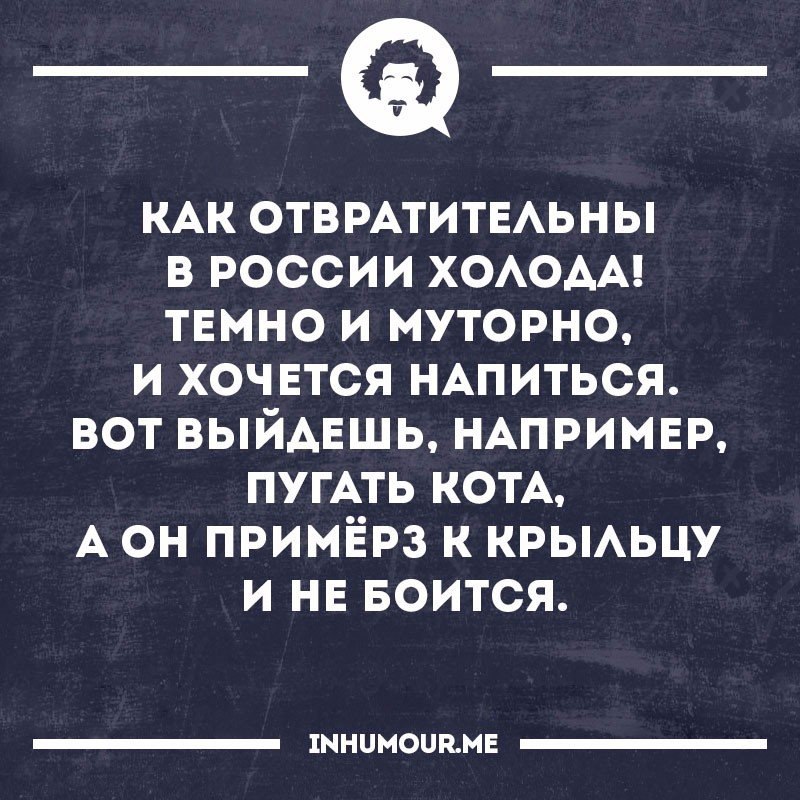 Интеллект юмор картинки