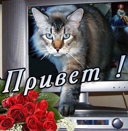 Привет малышка открытки, семья картинки