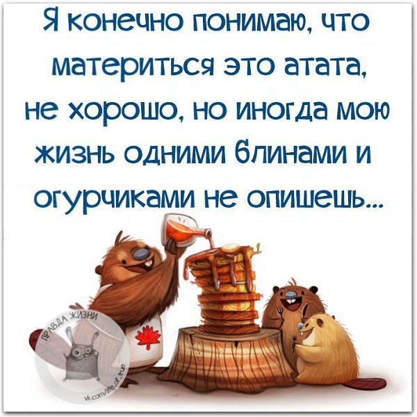 Открытки правда жизни, картинки для