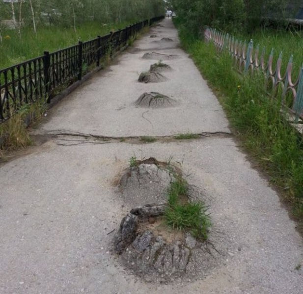 только однажды угадай страну по фотографии присланное гармонично