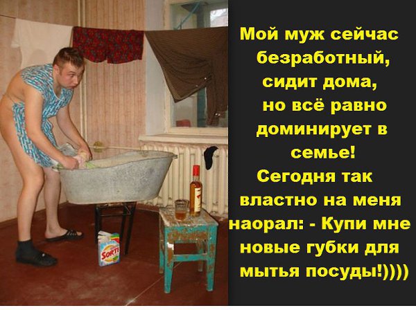 Я безработный прикольные картинки