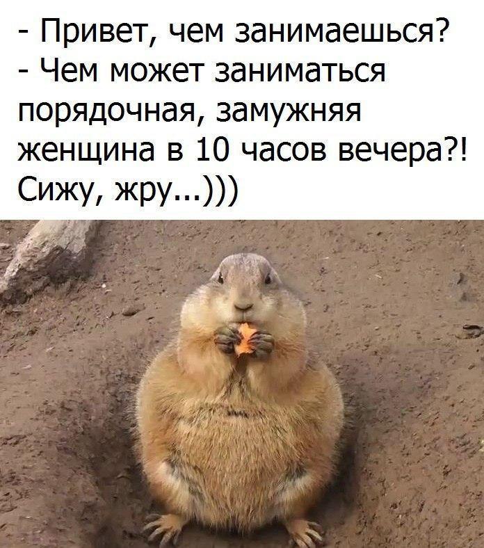 Какие планы на вечер что ответить мужчине с юмором короткие