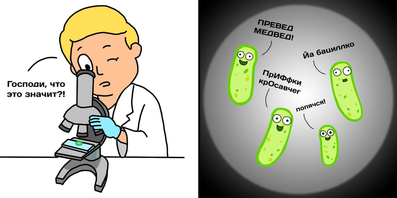 Смешные бактерии
