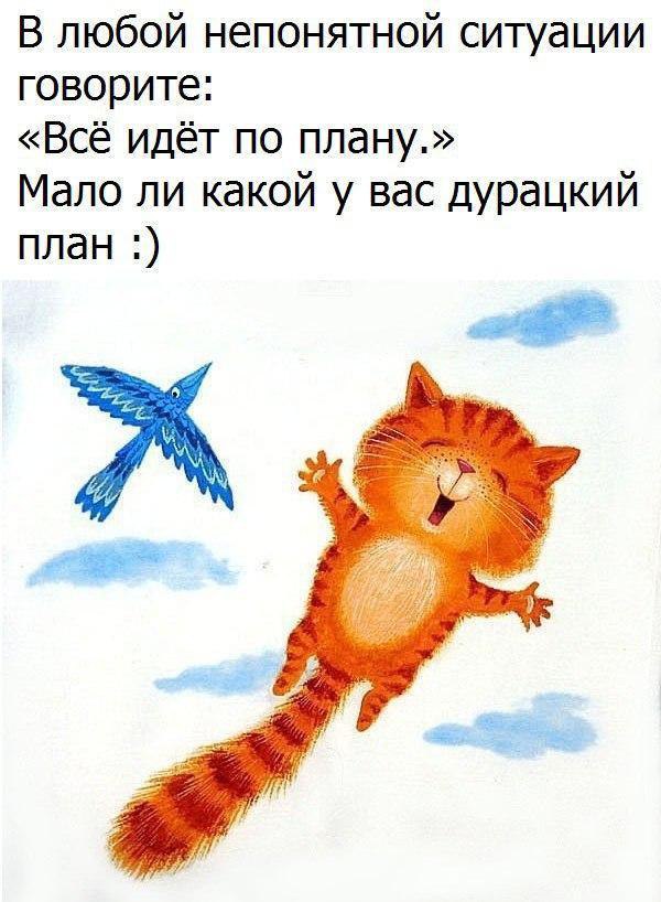 Пошло не по плану цитаты