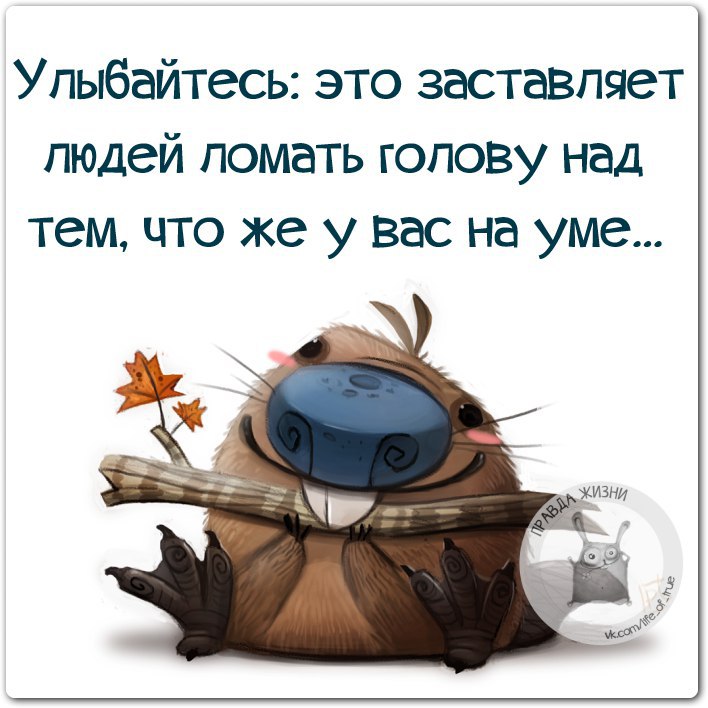 Всегда не смотря ни на что. Улыбайтесь ни смотря ни на что. Улыбаться несмотря ни на что. Относитесь к жизни с юмором. Улыбайтесь несмотря ни на что цитаты.