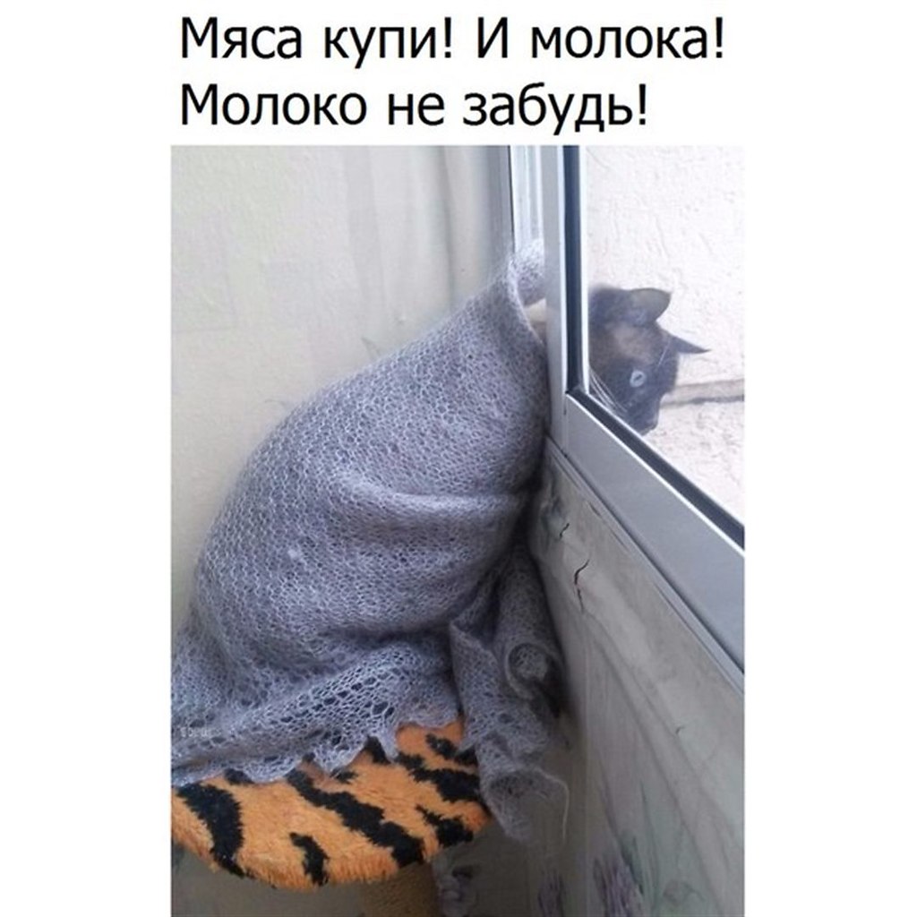 Ты молока купил