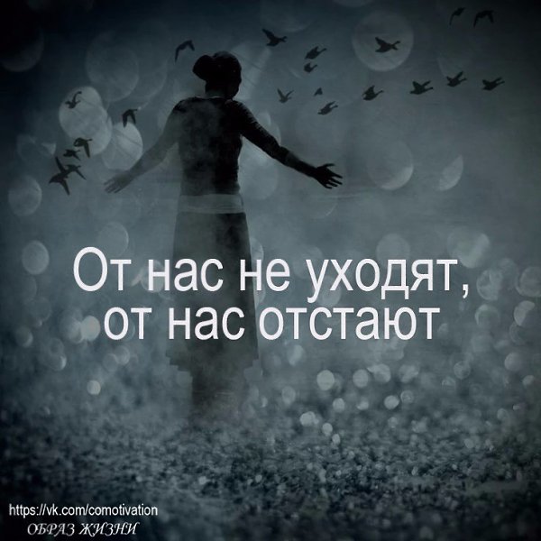 другом картинка наше от нас не уйдет цветок