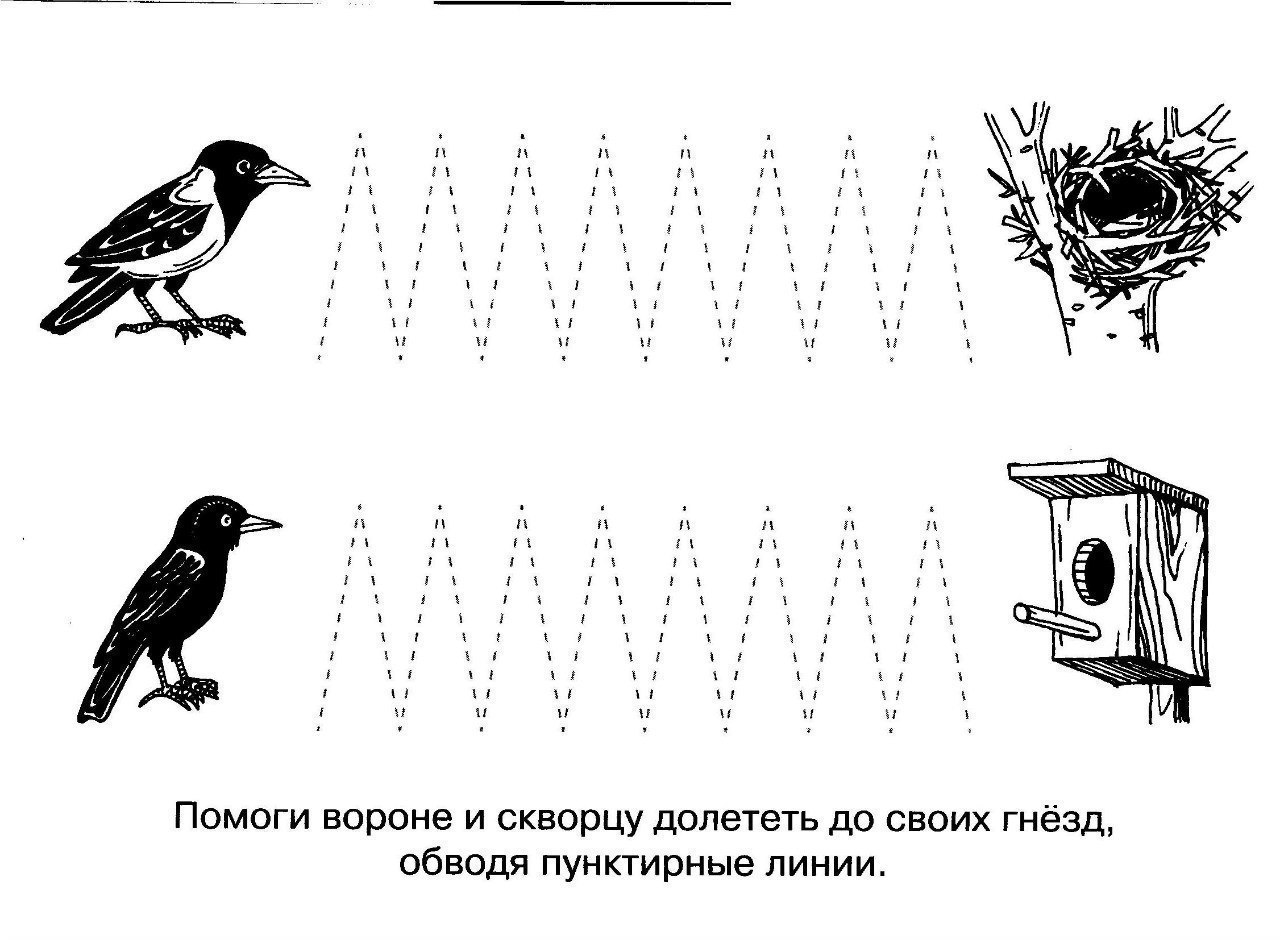 Задания для детей тема перелетные птицы для дошкольников