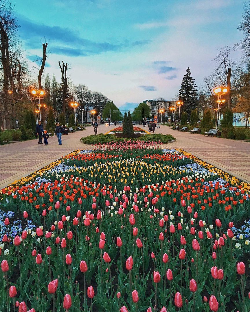 Вечерний майкоп фото