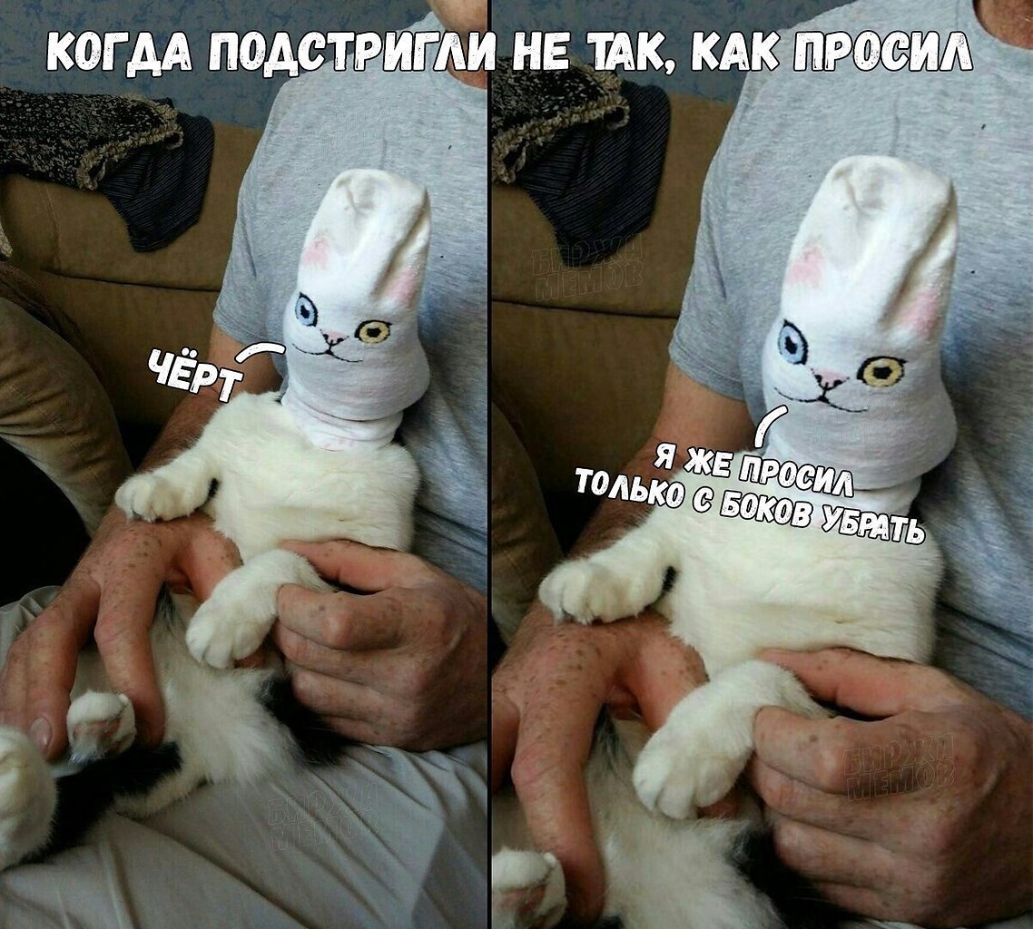 Свяжу тебя и подстригу