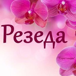 Поздравления, резеда с днем рождения открытки гифы