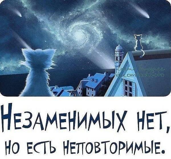 Незаменимых нет но есть неповторимые картинки