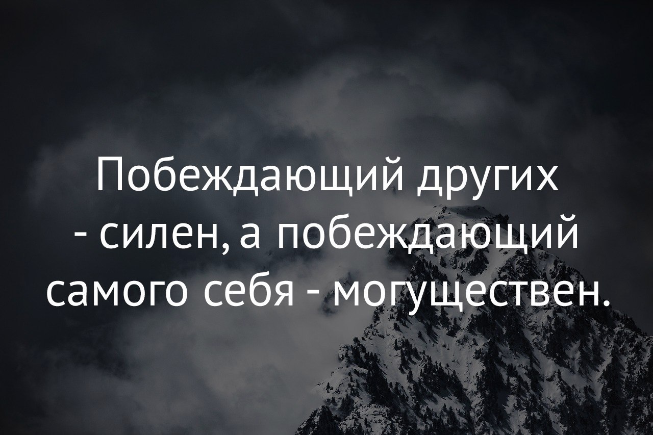 Что общего сильный победит одного знающий тысячу. Цитаты конора макгрегора. Что общего сильный победит одного знающий тысячу. Башкирские пословицы. Что общего сильный победит одного знающий тысячу.
