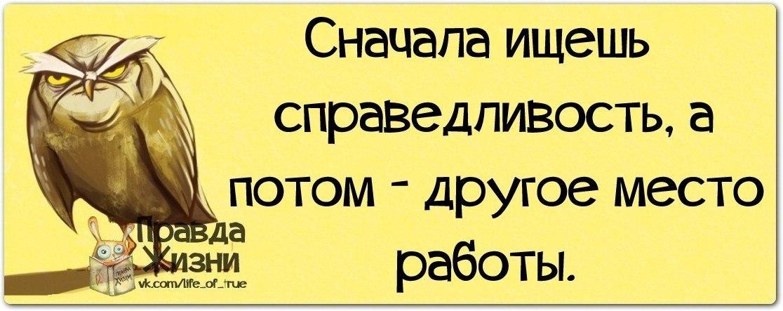 Картинки вчера на работе искали справедливость сегодня ищем работу картинки