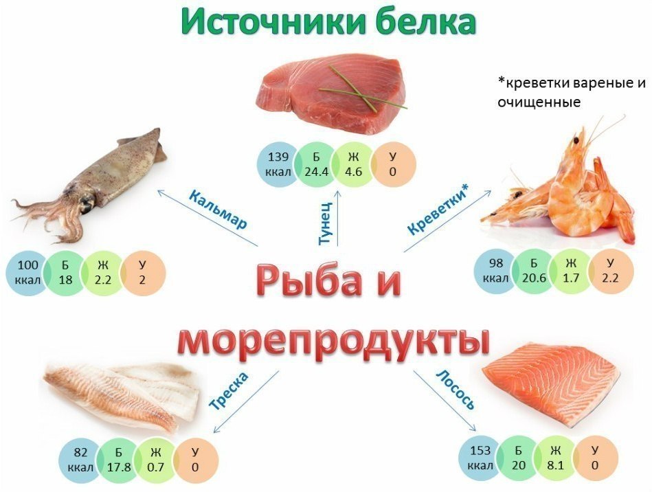 Источники белка рыба и морепродукты