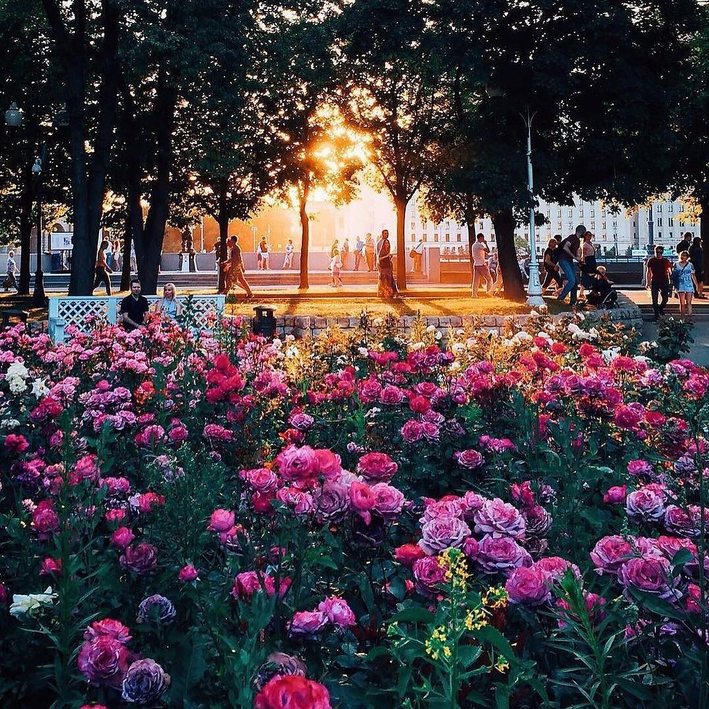 Парк Горького Москва летом вечером
