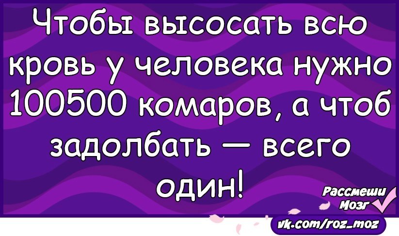 Рассмеши мозг анекдоты в картинках