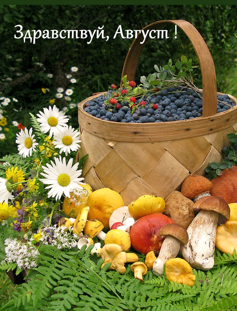 31 июля 1 августа. Ягоды в лукошке. Корзина дары осени. Корзинка с грибами и ягодами. Лето грибы ягоды.