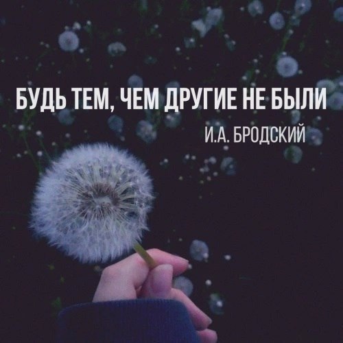 Жизнь любит не тех кто ноет по пустякам а тех кто по пустякам радуется картинки