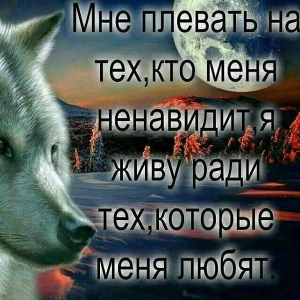 дело картинки с надписью вы любите не тех приготовить греческий соус