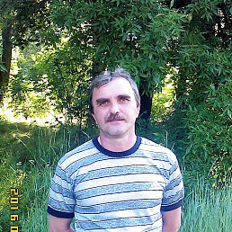 , 55 , 