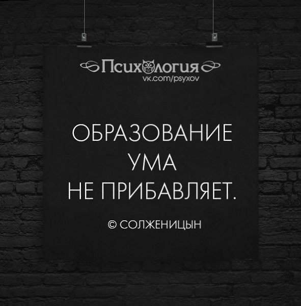 Умами сайт. Цитаты про ум. Фразы про ум. Высшее образование не показатель ума цитата. Цитаты про высшее образование.