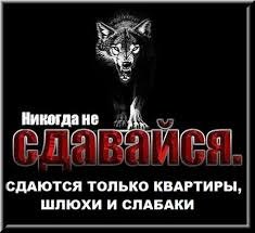 Новым, картинка с волком и надписью никогда не сдавайся