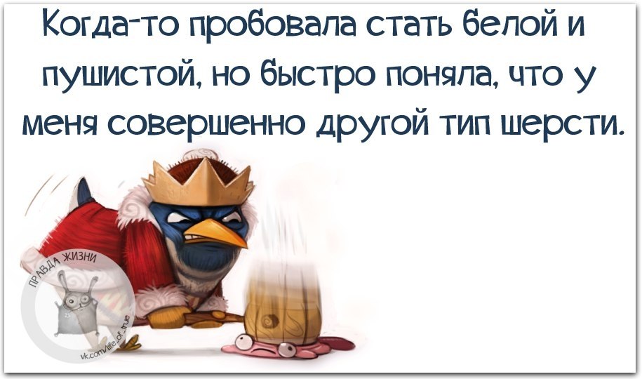 Быстрее поняла. Хотела быть белой и пушистой но. Пробовала стать белой и пушистой но быстро. Хочется быть белой и пушистой но. Доктор я постоянно кашляю а вы травки.