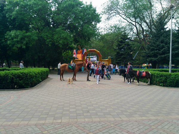 План парка поддубного в ейске