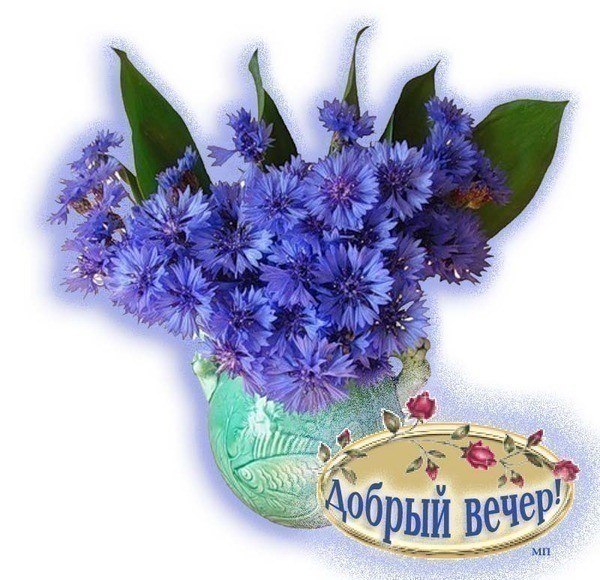 Открытка весенняя с добрым вечером