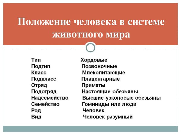 Пользуясь текстом параграфа составьте схему показывающую систематическое положение человека