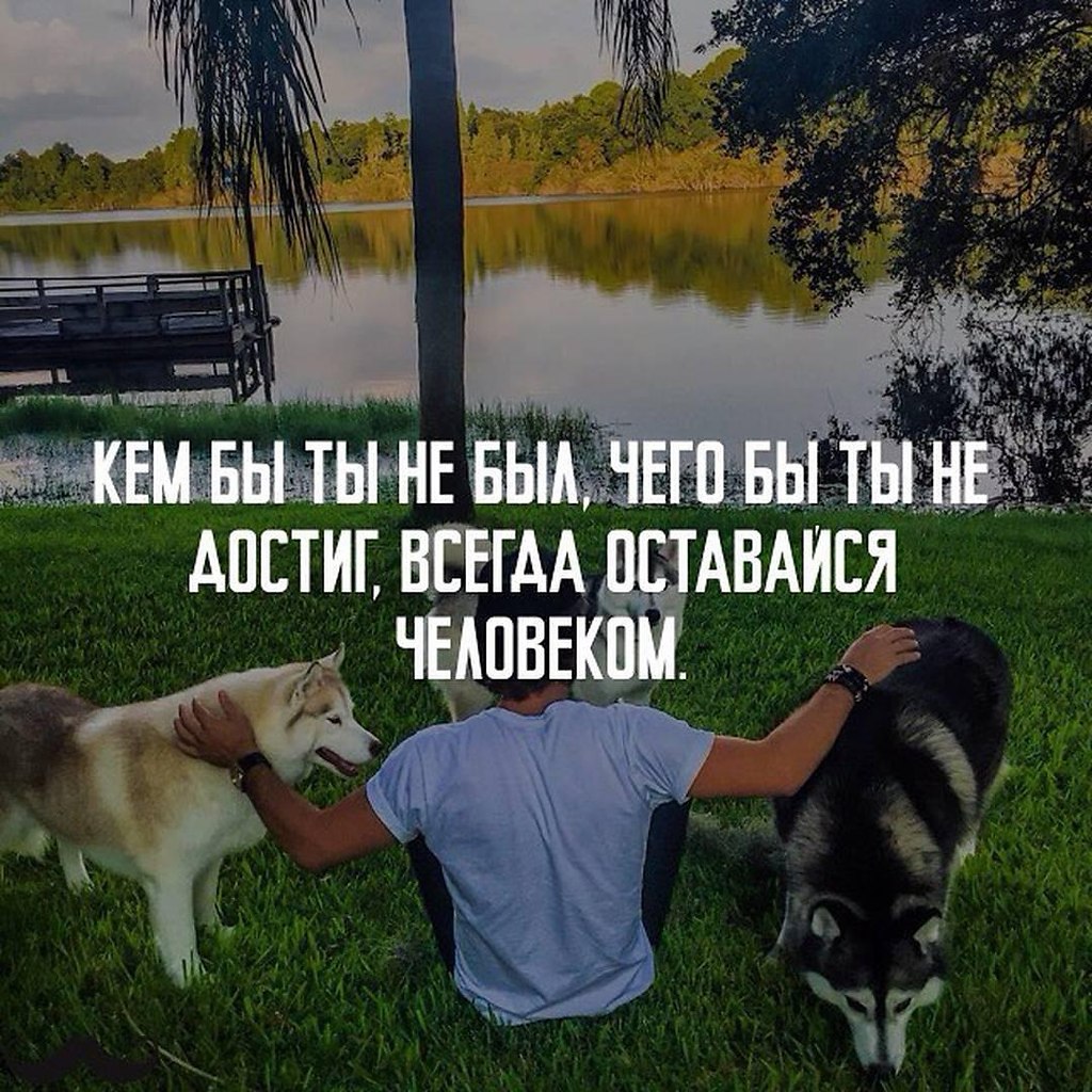 В любой ситуации оставайся человеком картинки