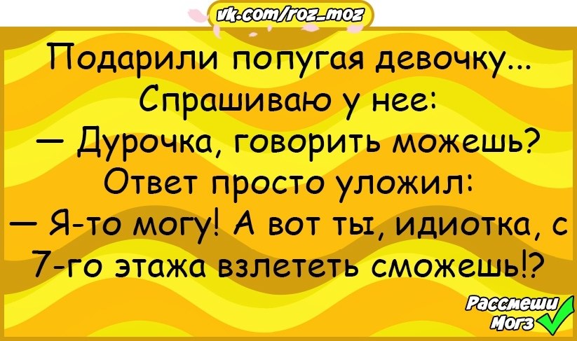 Друг подарил двух. Анекдот: девушка попугай короткий денёк. Анекдот подарили попугая на свадьбу.