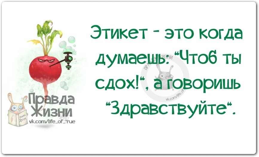 Правда жизни картинки с надписями прикольные новые