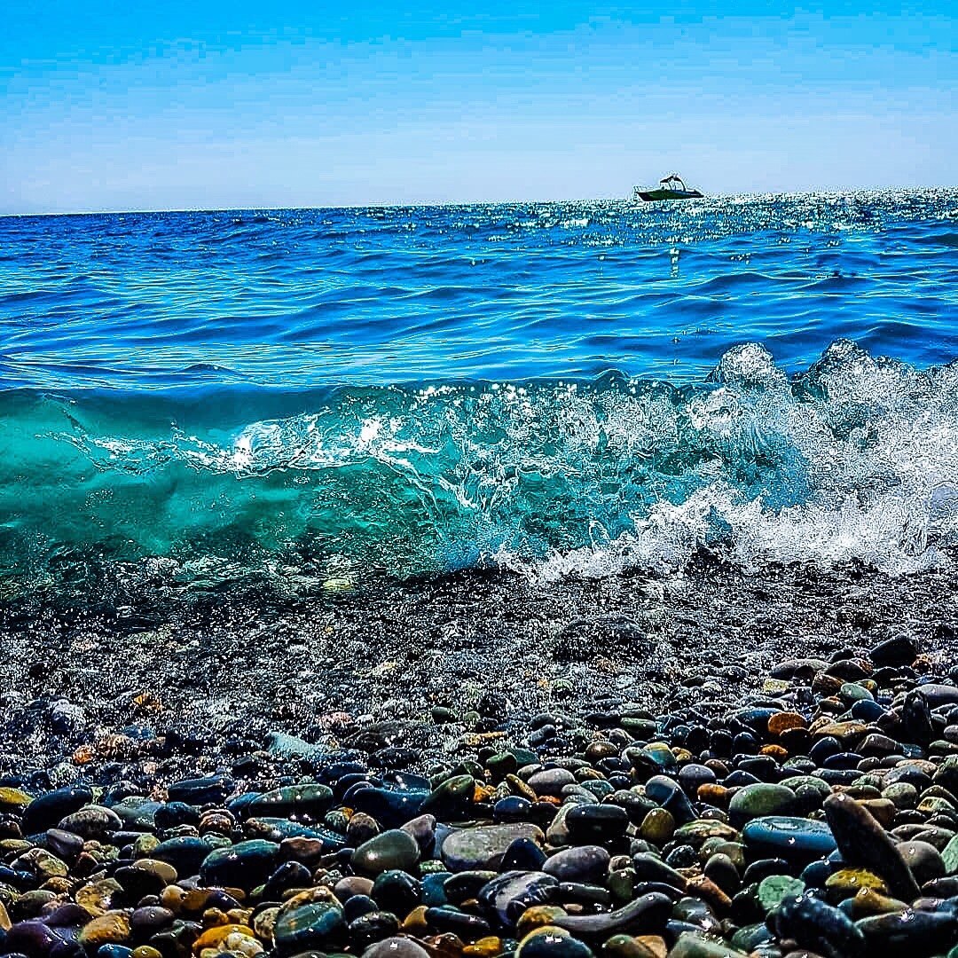 черного моря и его берега